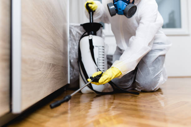Best Ant Control Services  in Messiah College, PA
