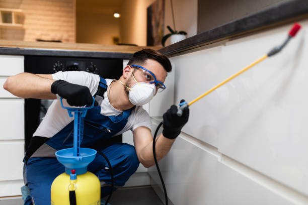 Best Wasp Removal Services  in Messiah College, PA