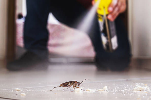 Best Local Pest Control Services  in Messiah College, PA